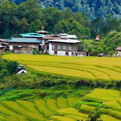 Bhutan: Remote Village Tour